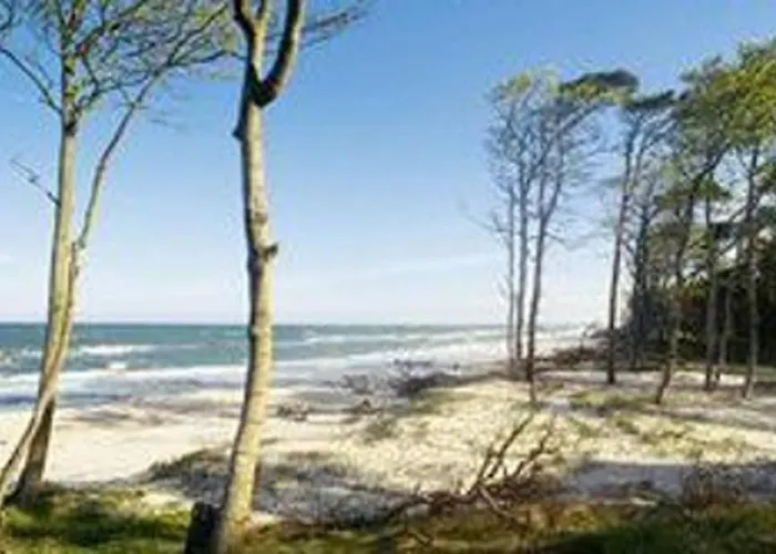 700m Vom Lägenhet *